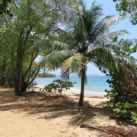 Korn Lambis Villa แซ็งต์-ลูซ ภายนอก รูปภาพ